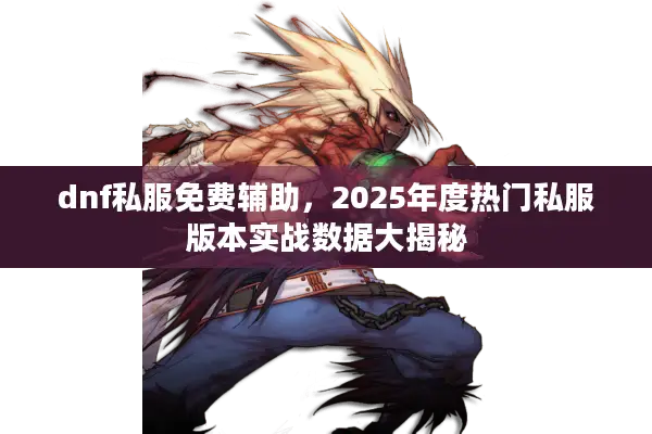 dnf私服免费辅助，2025年度热门私服版本实战数据大揭秘