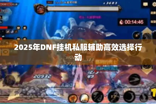 2025年DNF挂机私服辅助高效选择行动