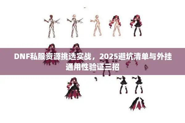 DNF私服资源挑选实战，2025避坑清单与外挂通用性验证三招