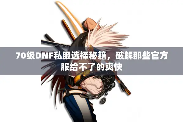 70级DNF私服选择秘籍，破解那些官方服给不了的爽快