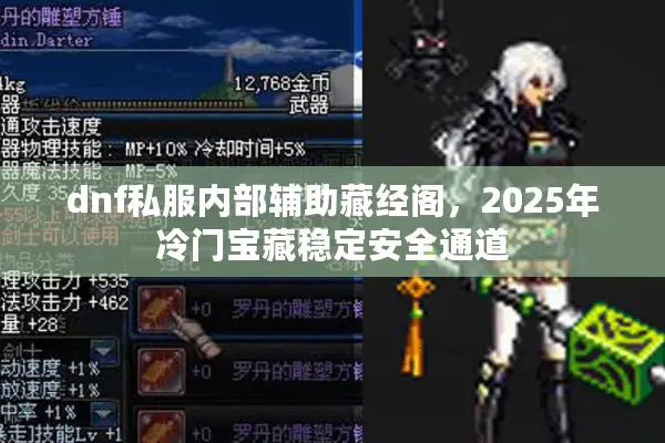 dnf私服内部辅助藏经阁，2025年冷门宝藏稳定安全通道