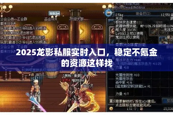 2025龙影私服实时入口，稳定不氪金的资源这样找