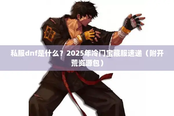 私服dnf是什么？2025年冷门宝藏服速递（附开荒资源包）