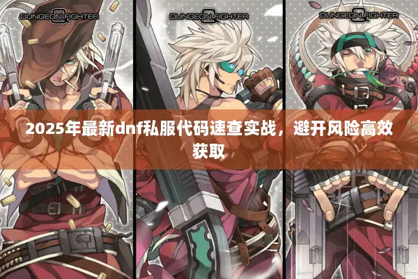 2025年最新dnf私服代码速查实战，避开风险高效获取