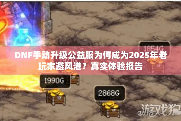 DNF手动升级公益服为何成为2025年老玩家避风港？真实体验报告