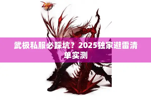 武极私服必踩坑？2025独家避雷清单实测