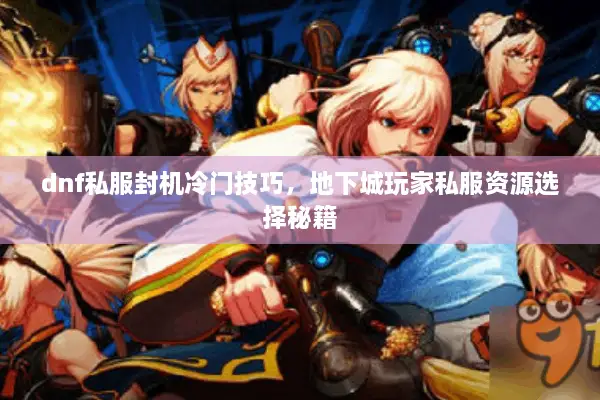 dnf私服封机冷门技巧，地下城玩家私服资源选择秘籍