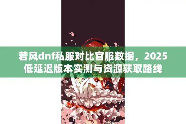 若风dnf私服对比官服数据，2025低延迟版本实测与资源获取路线