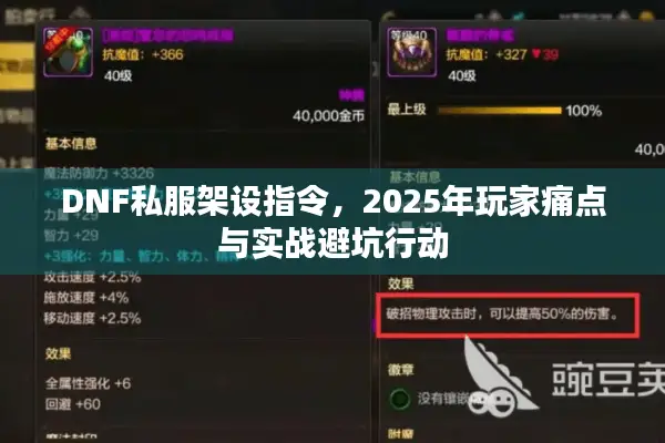 DNF私服架设指令，2025年玩家痛点与实战避坑行动