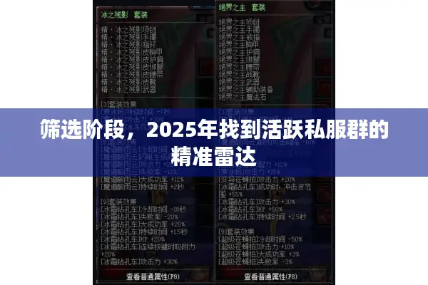 筛选阶段，2025年找到活跃私服群的精准雷达