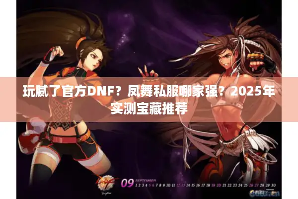 玩腻了官方DNF？凤舞私服哪家强？2025年实测宝藏推荐