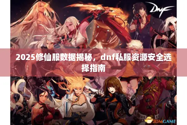 2025修仙服数据揭秘，dnf私服资源安全选择指南
