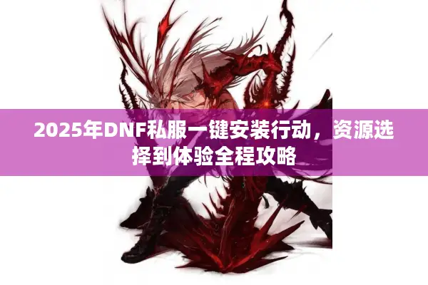 2025年DNF私服一键安装行动，资源选择到体验全程攻略