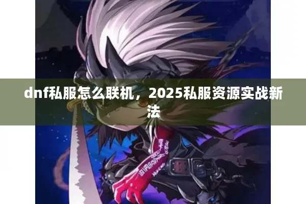 dnf私服怎么联机，2025私服资源实战新法
