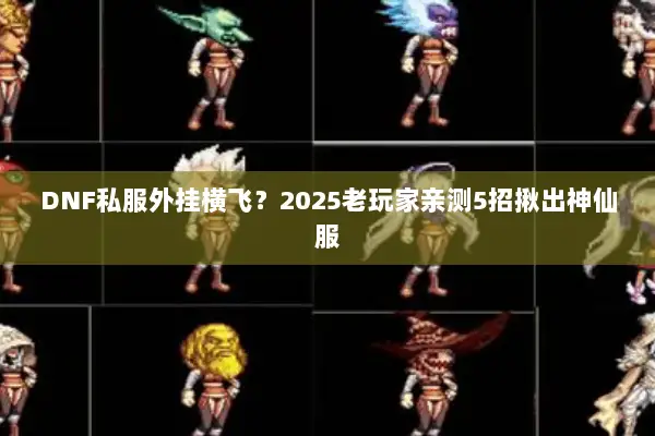 DNF私服外挂横飞？2025老玩家亲测5招揪出神仙服