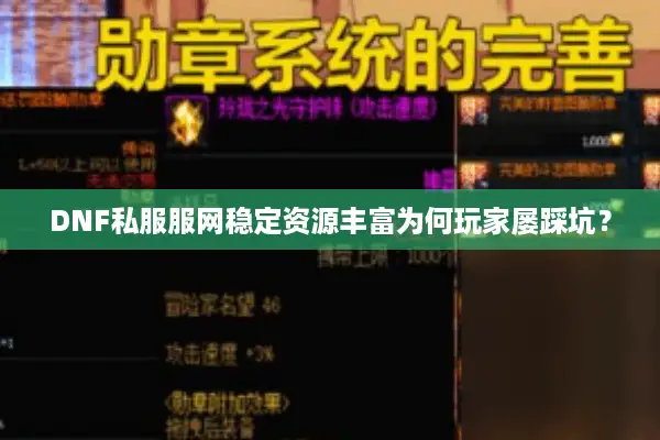 DNF私服服网稳定资源丰富为何玩家屡踩坑？