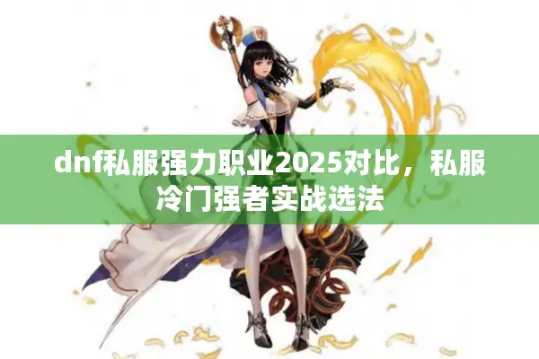 dnf私服强力职业2025对比，私服冷门强者实战选法