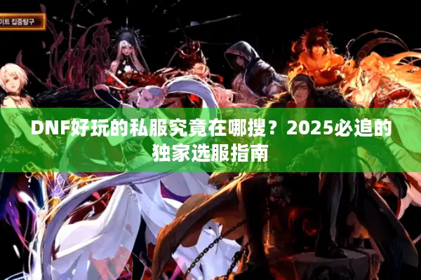 DNF好玩的私服究竟在哪搜？2025必追的独家选服指南
