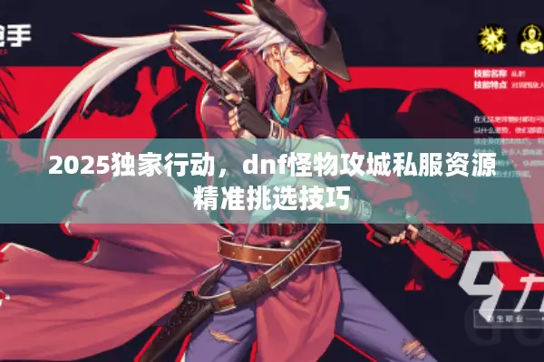 2025独家行动，dnf怪物攻城私服资源精准挑选技巧