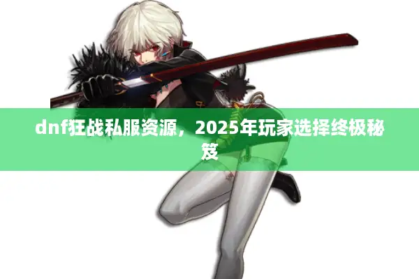 dnf狂战私服资源，2025年玩家选择终极秘笈
