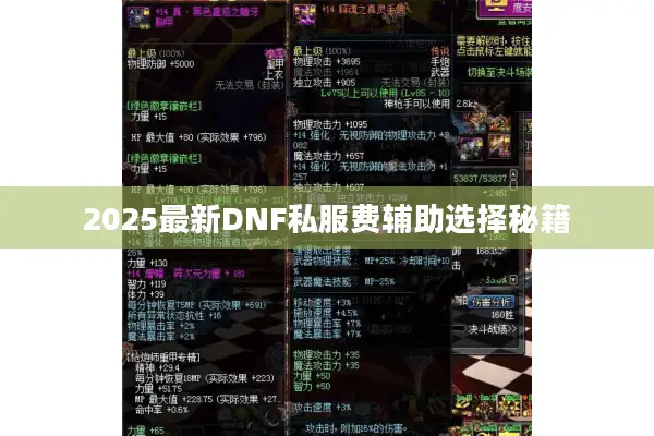 2025最新DNF私服费辅助选择秘籍