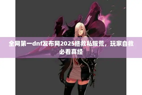 全网第一dnf发布网2025拯救私服荒，玩家自救必看真经