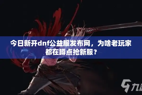 今日新开dnf公益服发布网，为啥老玩家都在蹲点抢新服？