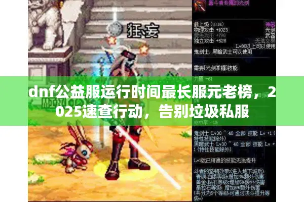 dnf公益服运行时间最长服元老榜，2025速查行动，告别垃圾私服