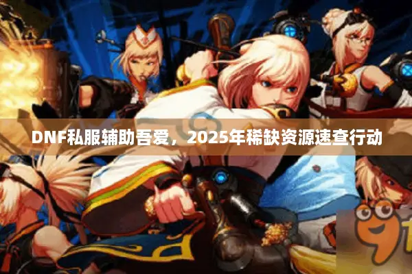 DNF私服辅助吾爱，2025年稀缺资源速查行动