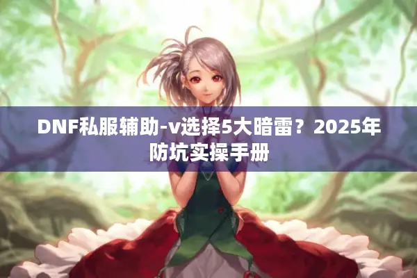 DNF私服辅助-v选择5大暗雷？2025年防坑实操手册