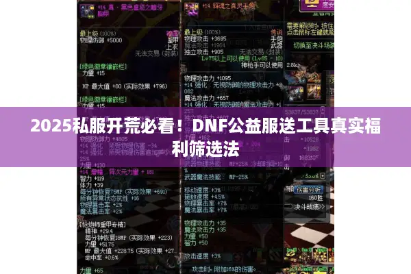 2025私服开荒必看！DNF公益服送工具真实福利筛选法