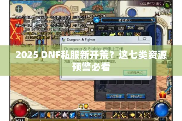 2025 DNF私服新开荒？这七类资源预警必看