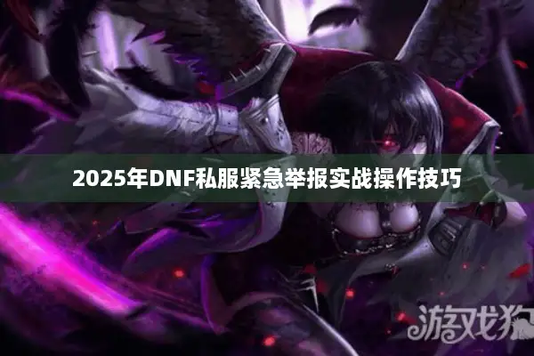 2025年DNF私服紧急举报实战操作技巧