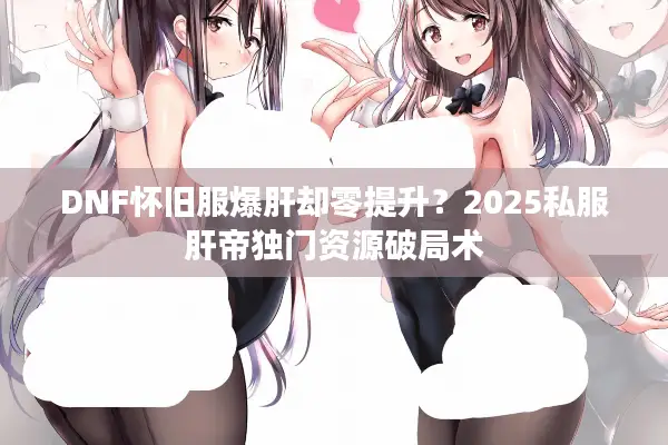 DNF怀旧服爆肝却零提升？2025私服肝帝独门资源破局术