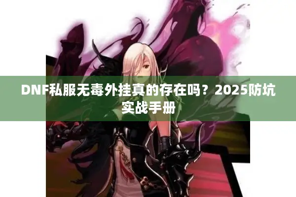 DNF私服无毒外挂真的存在吗？2025防坑实战手册