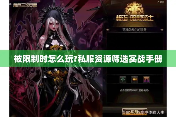 被限制时怎么玩?私服资源筛选实战手册