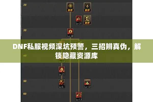 DNF私服视频深坑预警，三招辨真伪，解锁隐藏资源库