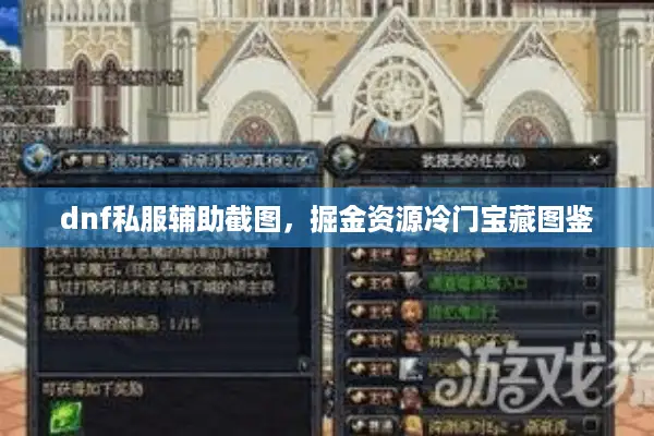 dnf私服辅助截图，掘金资源冷门宝藏图鉴