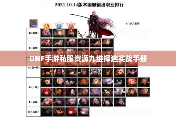 DNF手游私服资源九维择选实战手册