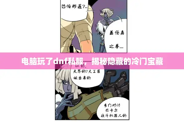 电脑玩了dnf私服，揭秘隐藏的冷门宝藏