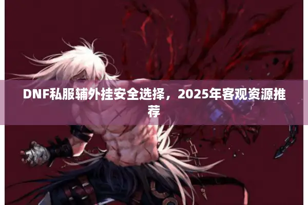 DNF私服辅外挂安全选择，2025年客观资源推荐