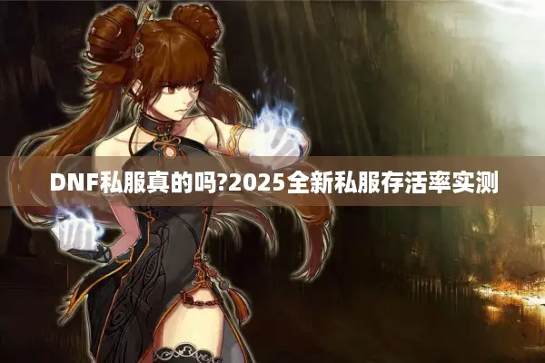 DNF私服真的吗?2025全新私服存活率实测
