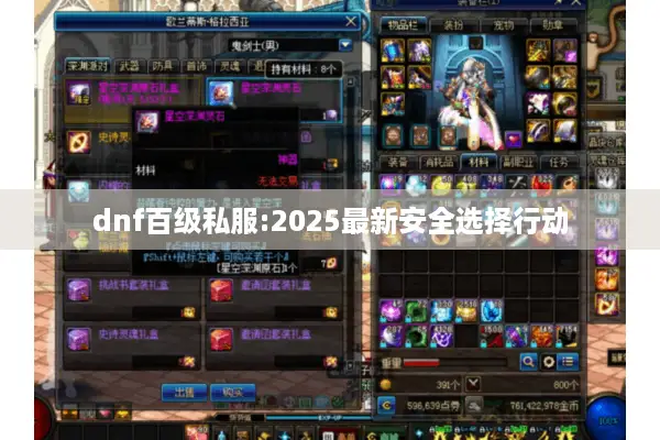 dnf百级私服:2025最新安全选择行动
