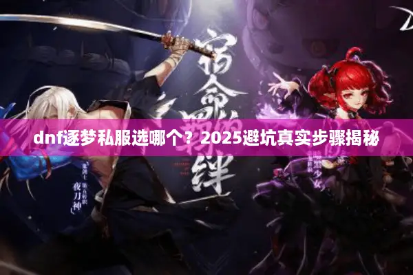 dnf逐梦私服选哪个？2025避坑真实步骤揭秘