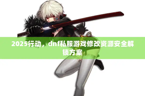 2025行动，dnf私服游戏修改资源安全解锁方案