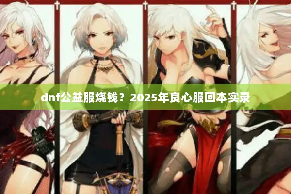 dnf公益服烧钱？2025年良心服回本实录