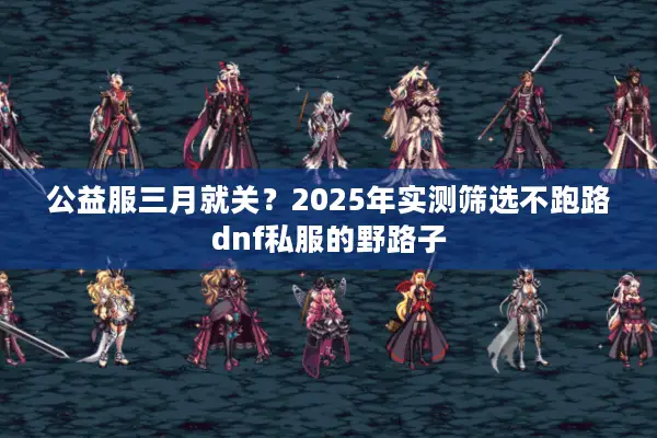 公益服三月就关？2025年实测筛选不跑路dnf私服的野路子