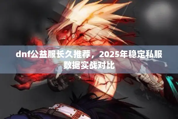 dnf公益服长久推荐，2025年稳定私服数据实战对比