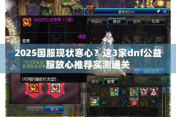 2025国服现状寒心？这3家dnf公益服放心推荐实测通关