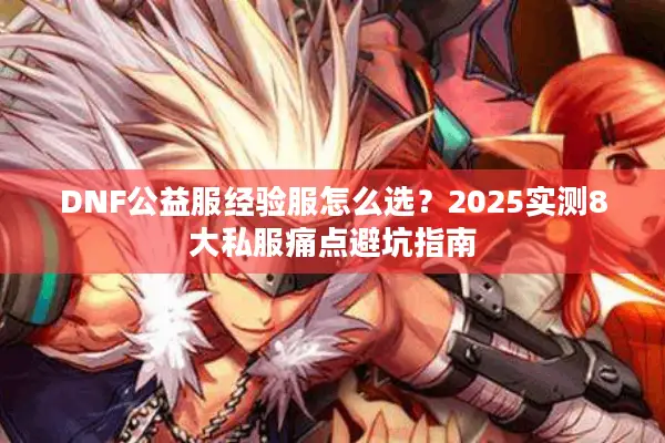 DNF公益服经验服怎么选？2025实测8大私服痛点避坑指南